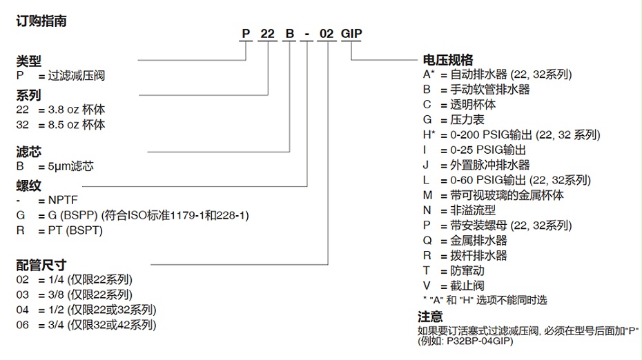 ASCO过滤器P22BG04AG-图
