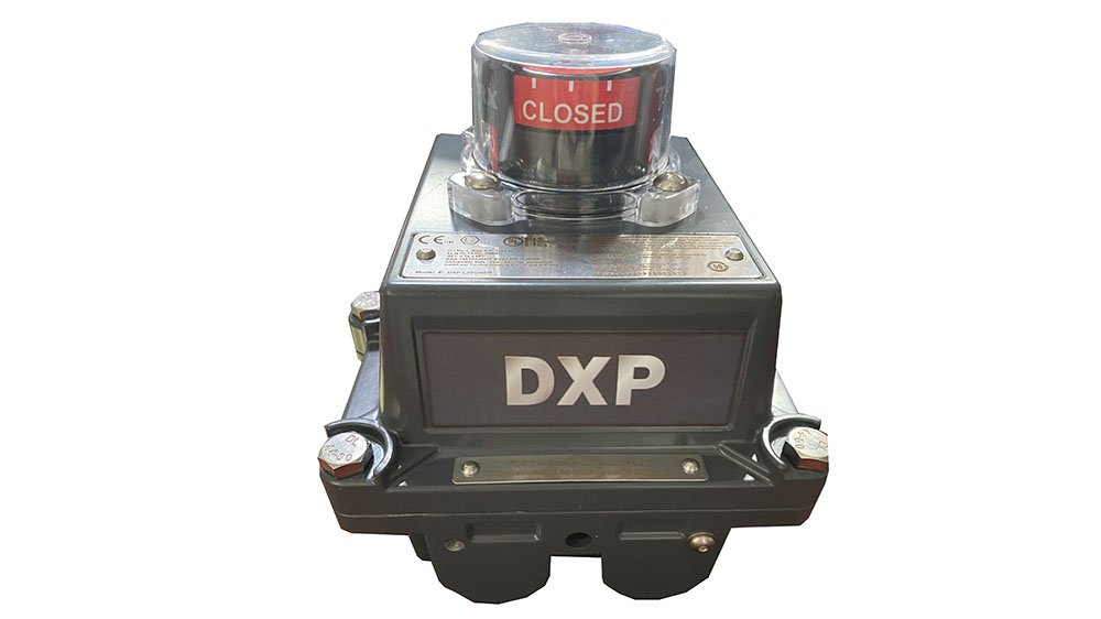 TOPWORX限位开关DXP-L20GNEB